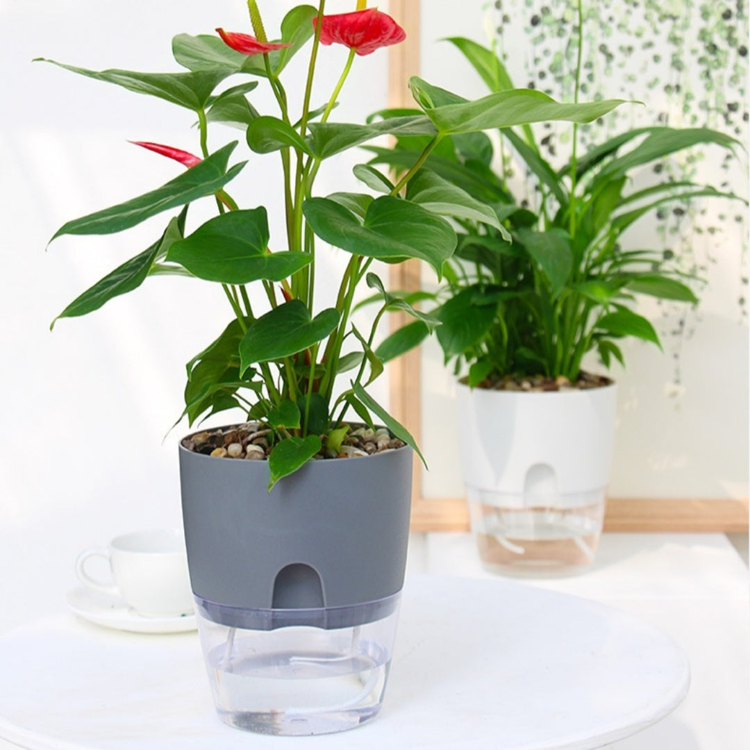 Self-Watering Smart Plant Pot | Keeps Plants Healthy for Weeks